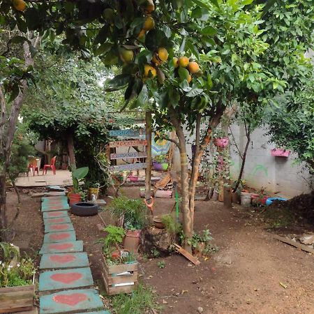 Casa Lothuz Spacio Cultural Y Disidente San Cristóbal de Las Casas Esterno foto